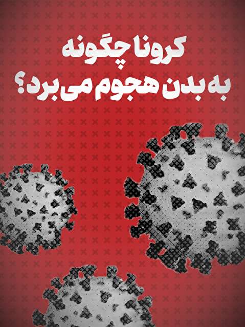 ویدیو / کرونا چگونه به بدن هجوم می‌برد؟/ گزارش نیویورک تایمز را ببینید