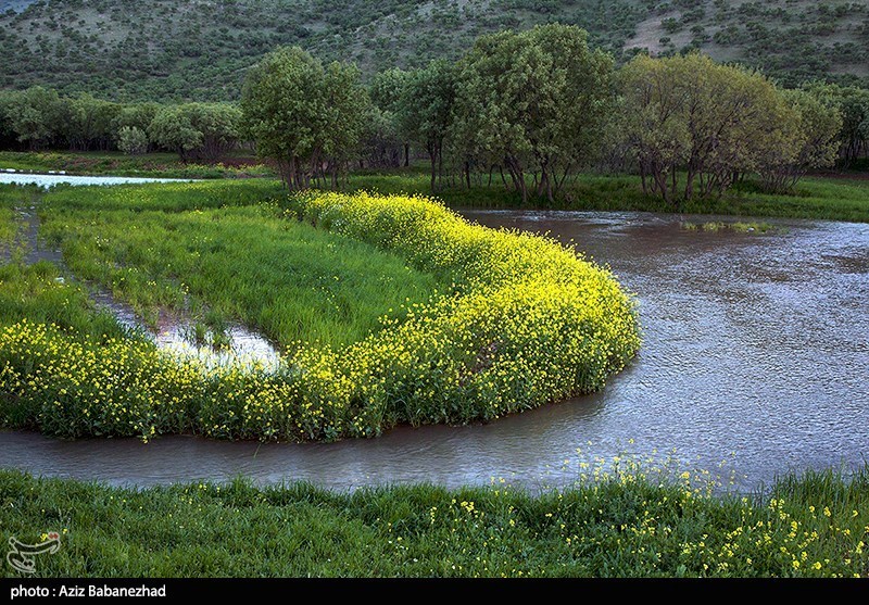 تصاویر: طبیعت بهاری روستای هنام - لرستان