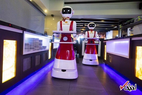 چگونه ربات‌ها ناجی رستوران‌های هلند شدند؟ +تصاویر