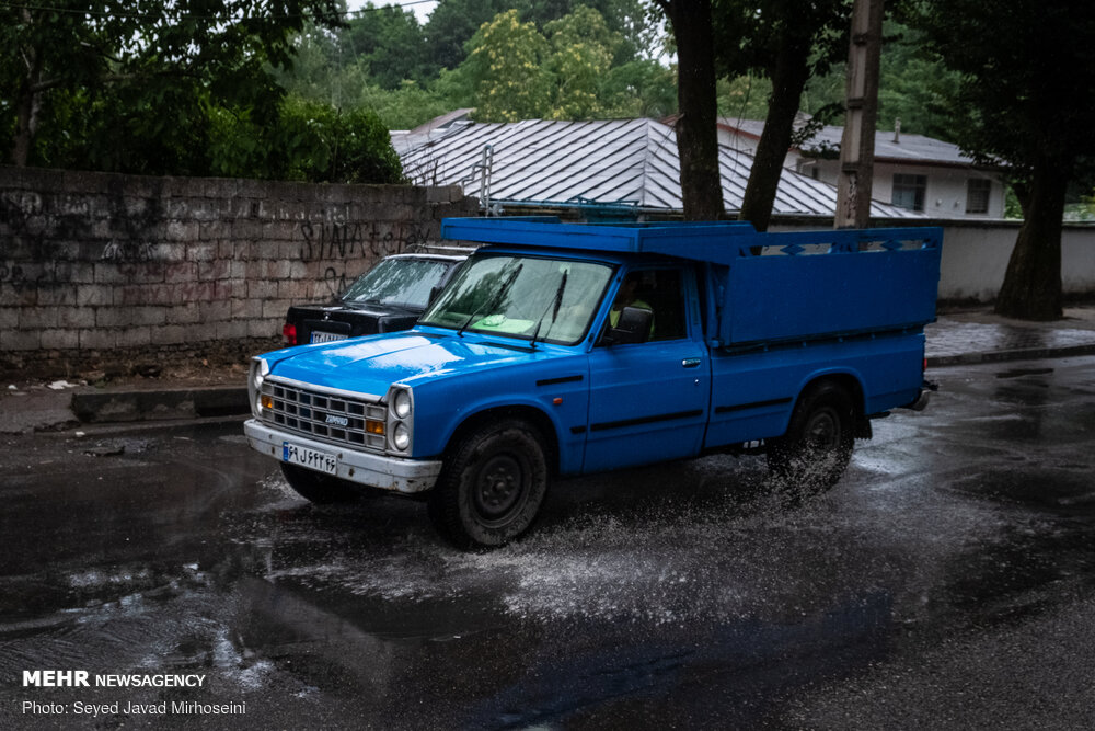 تصاویر: بارش باران تابستانی در رشت
