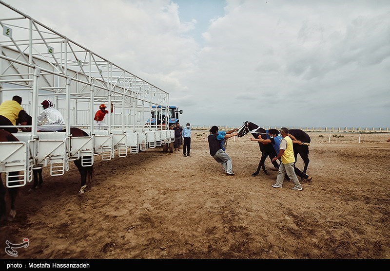تصاویر: هفته سوم کورس اسبدوانی پائیزه کشور در آق‌قلا