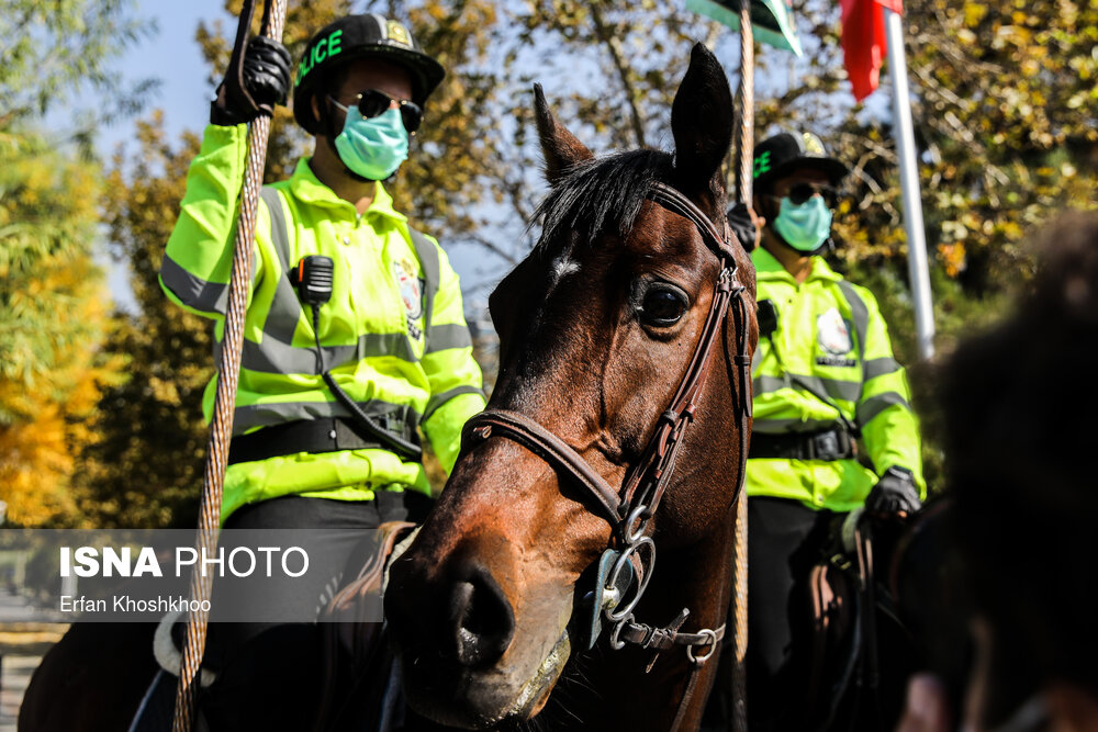 تصاویر: رژه یگان ویژه اسب سوار ناجا در خیابان ولی عصر