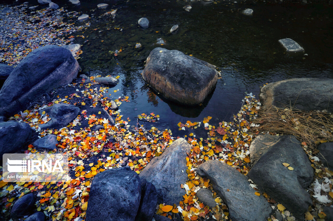 تصاویر: پاییز رنگارنگ همدان