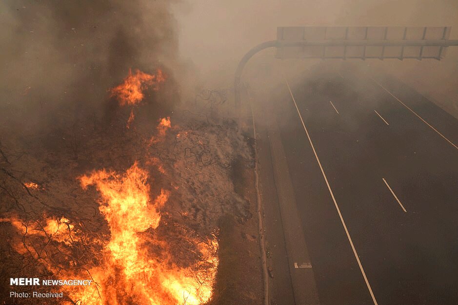 تصاویر: آتش‌سوزی جنگل‌های کالیفرنیا به مناطق مسکونی رسید