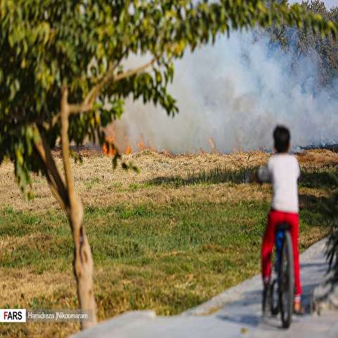 تصاویر: آتش در دامان زاینده‌رود