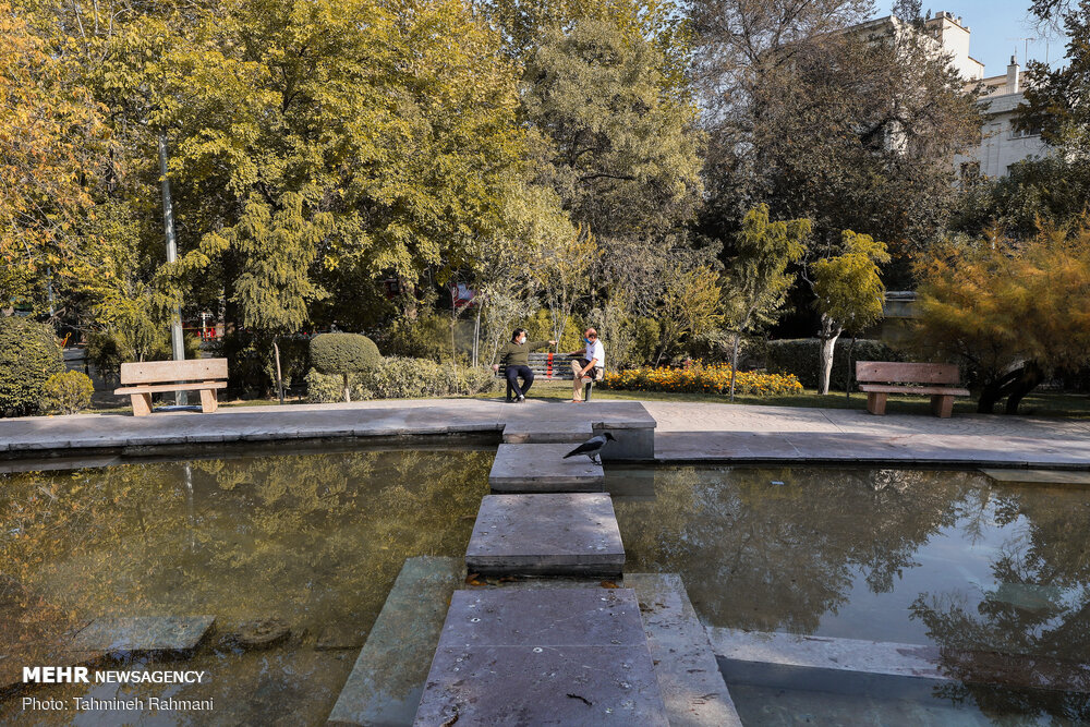 تصاویر: رنگ پاییزی تهران