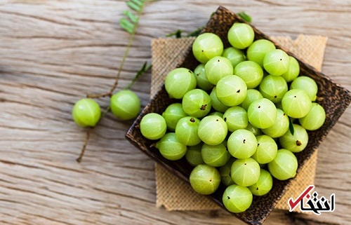 انگور فرنگی