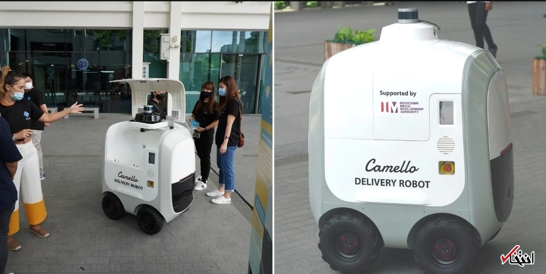 تحویل   غذا 