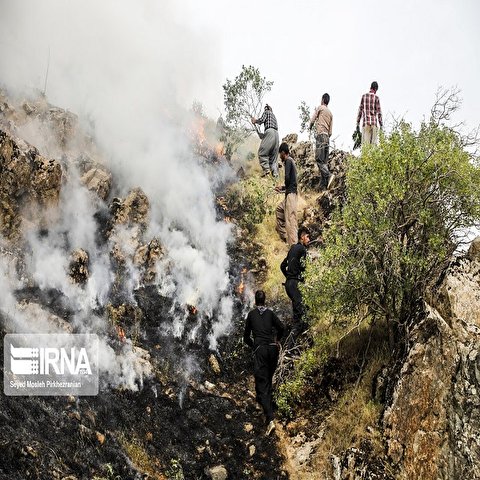 تصاویر: آتش سوزی درجنگل های بلوط کردستان