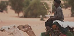 ویدیو / یگان شترسواران، واحد جدید ضد تروریسم در غرب آفریقا