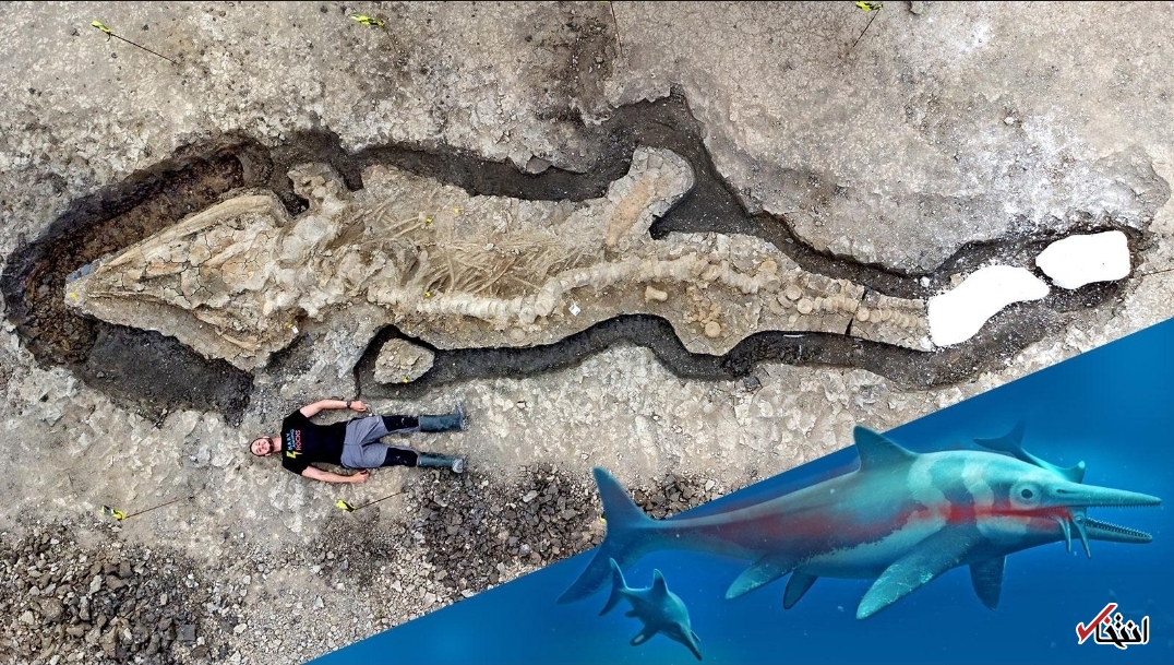 کشف فسیل یک اژد‌های دریایی عظیم الجثه در انگلستان