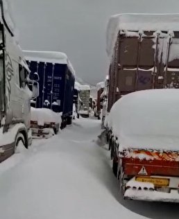 ویدیو / گرفتار شدن ده ها کامیون در پارکینگ گمرک باشماق سنندج  / درخواست کمک رانندگان کامیون از مسوولان