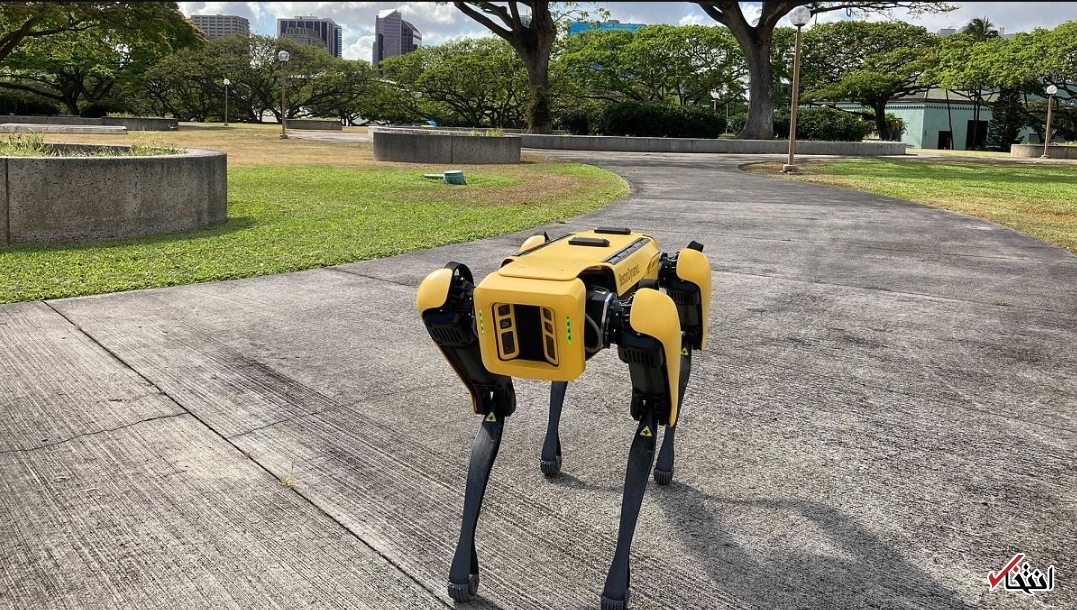 سگ پلیس رباتیکی که دمای بدن افراد بی خانمان را می‌سنجد