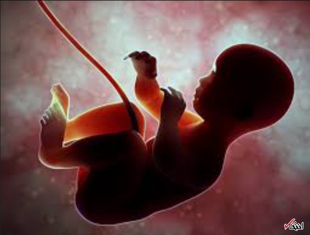 طرح انقلابی چینی‌ها در توسعه رحم مصنوعی