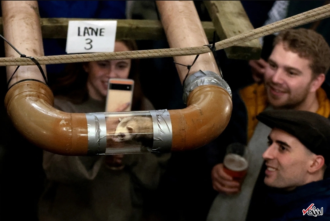 تصاویر یکی از عجیب‌ترین مسابقات جهان