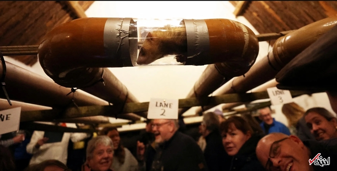 تصاویر یکی از عجیب‌ترین مسابقات جهان