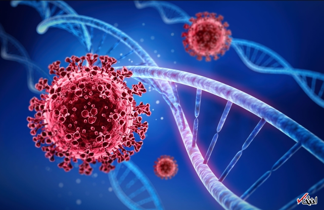 آیا احتمال چندین بار ابتلا به کرونا وجود دارد؟