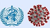 سازمان جهانی بهداشت: جهان یکی از بدترین هفته‌های کرونایی خود را تجربه کرد/ بیشترین تعداد مبتلایان در این چند روز ثبت شد