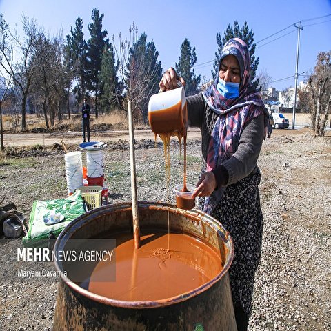 تصاویر: جشنواره سمنو در بجنورد