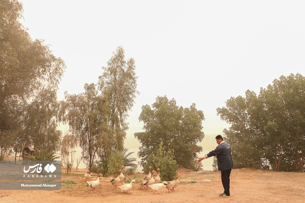 تصاویر: گرد و خاک در اهواز