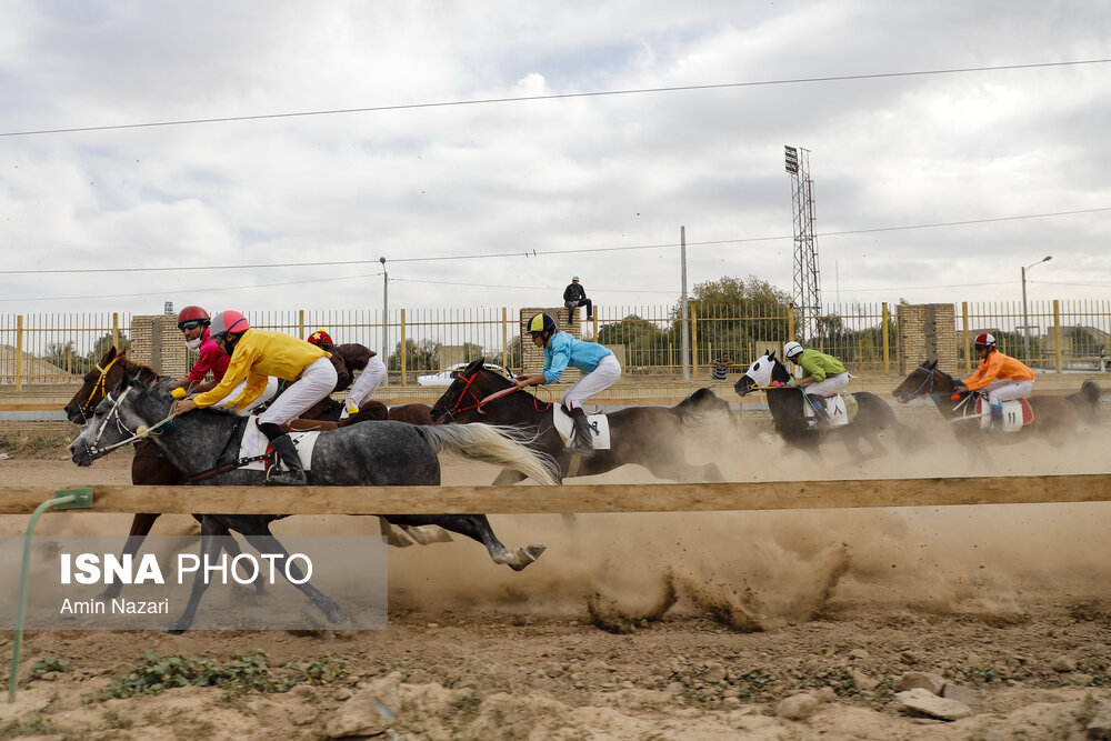 تصاویر: هفته پایانی مسابقات اسب دوانی کشور در اهواز