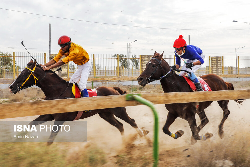 تصاویر: هفته پایانی مسابقات اسب دوانی کشور در اهواز