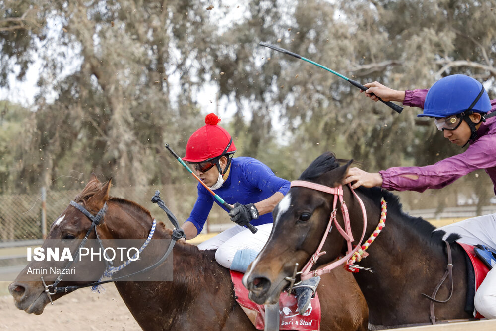 تصاویر: هفته پایانی مسابقات اسب دوانی کشور در اهواز