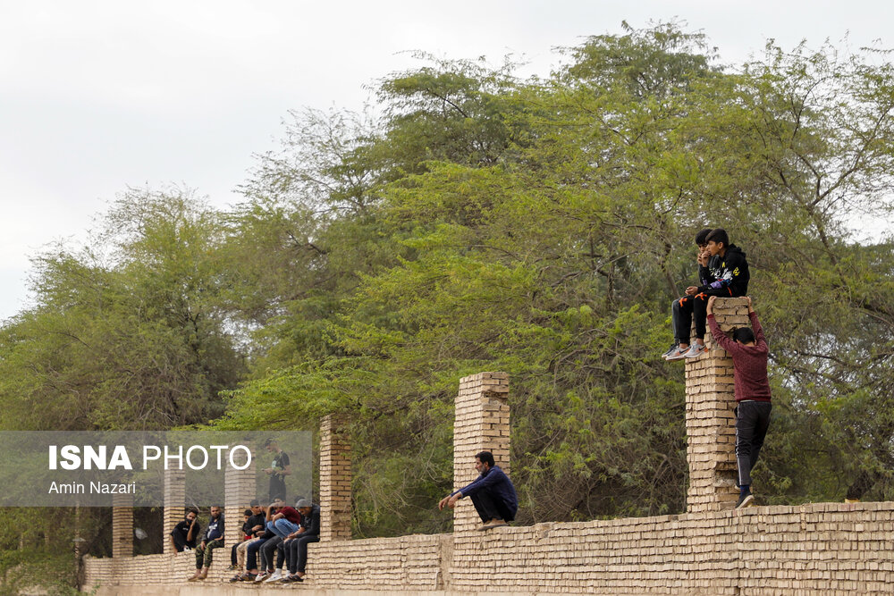 تصاویر: هفته پایانی مسابقات اسب دوانی کشور در اهواز