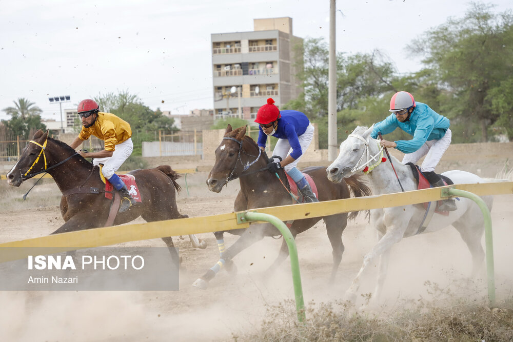 تصاویر: هفته پایانی مسابقات اسب دوانی کشور در اهواز