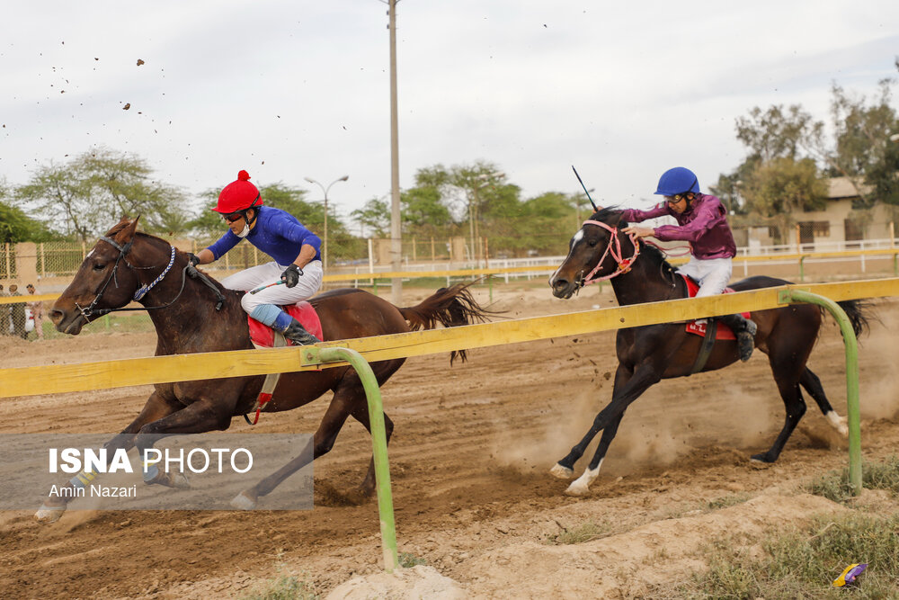تصاویر: هفته پایانی مسابقات اسب دوانی کشور در اهواز