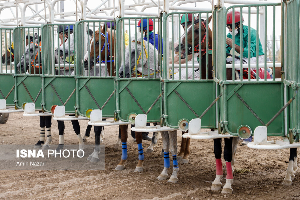 تصاویر: هفته پایانی مسابقات اسب دوانی کشور در اهواز