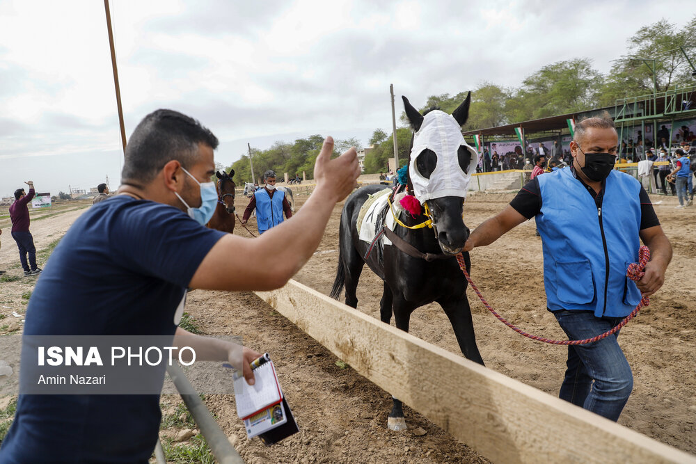 تصاویر: هفته پایانی مسابقات اسب دوانی کشور در اهواز