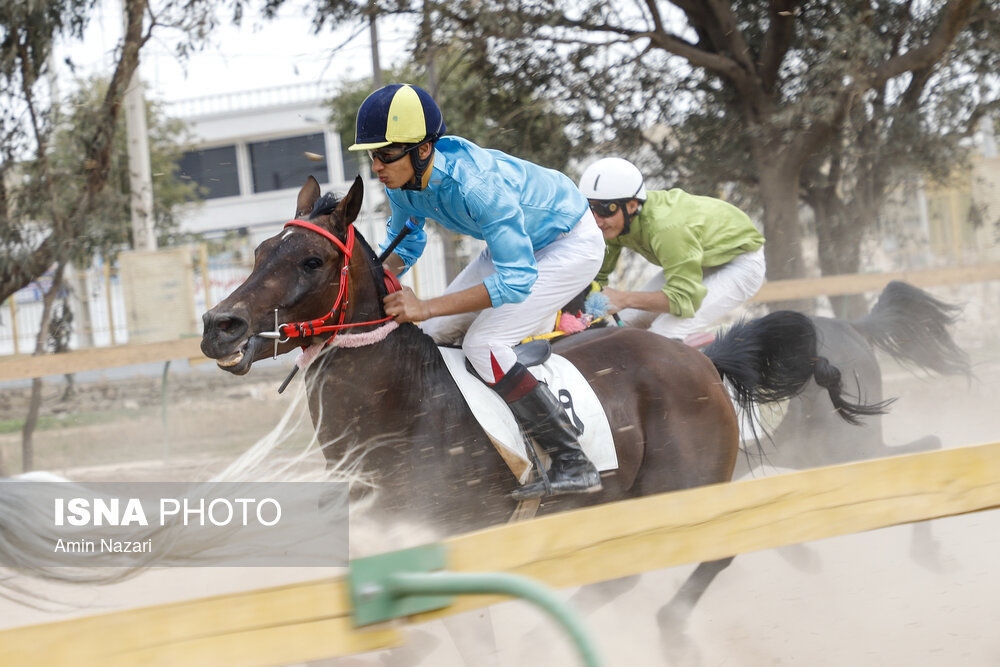 تصاویر: هفته پایانی مسابقات اسب دوانی کشور در اهواز