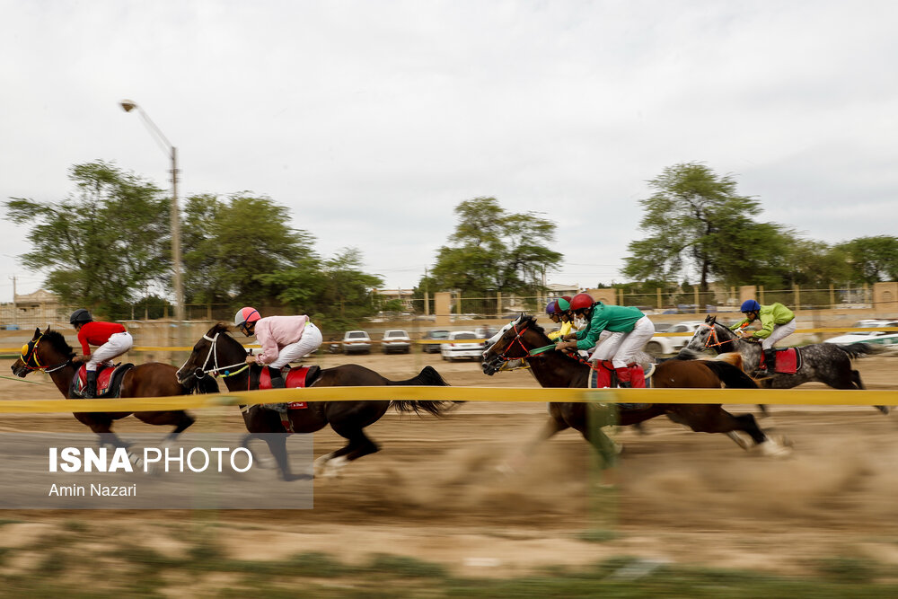 تصاویر: هفته پایانی مسابقات اسب دوانی کشور در اهواز