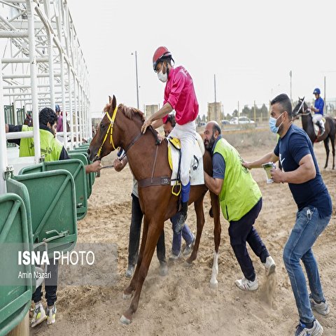 تصاویر: هفته پایانی مسابقات اسب دوانی کشور در اهواز