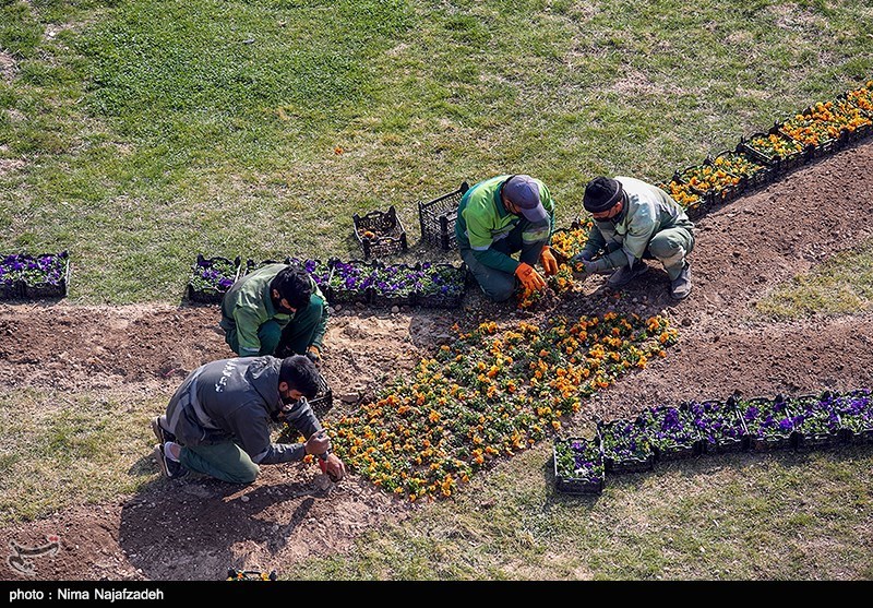 تصاویر: مشهد در آستانه نوروز