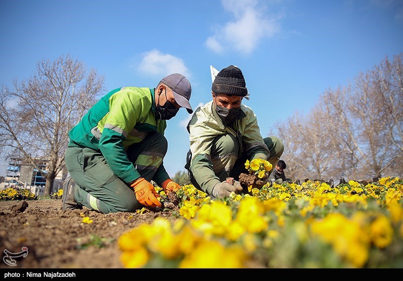 تصاویر: مشهد در آستانه نوروز