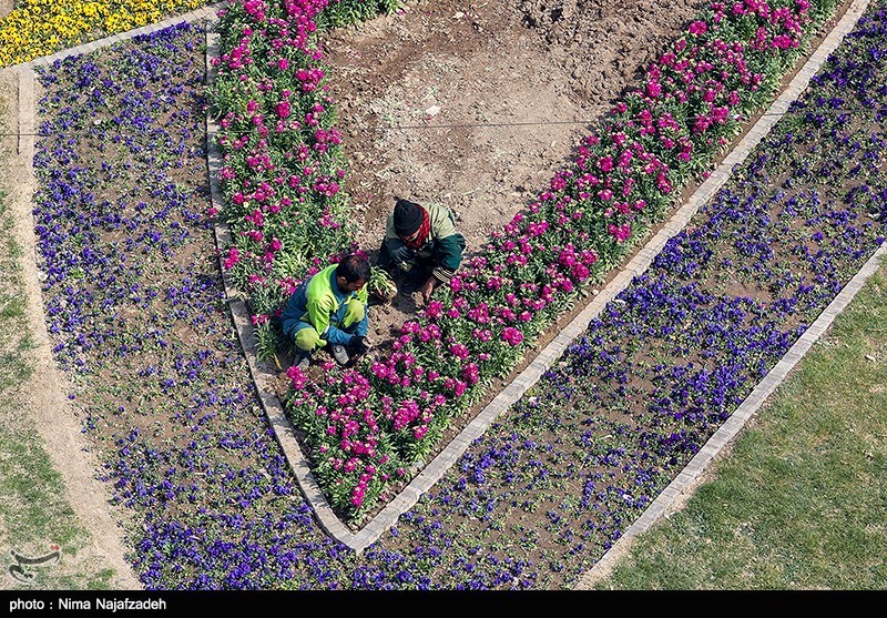 تصاویر: مشهد در آستانه نوروز