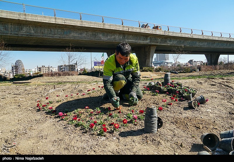 تصاویر: مشهد در آستانه نوروز