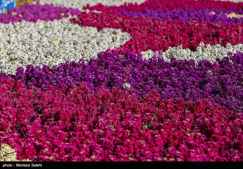 تصاویر: بازار گل و گیاه در آستانه نوروز - اصفهان