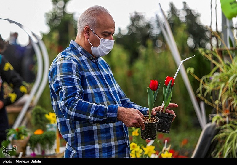 تصاویر: بازار گل و گیاه در آستانه نوروز - اصفهان