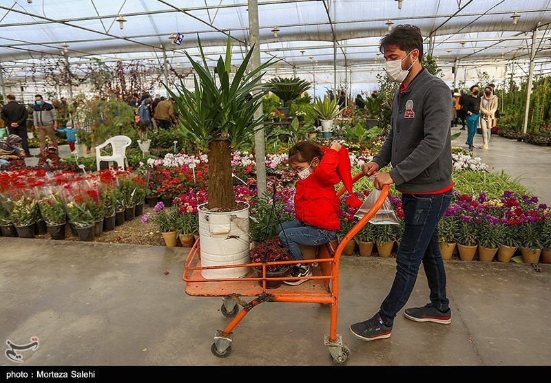 تصاویر: بازار گل و گیاه در آستانه نوروز - اصفهان