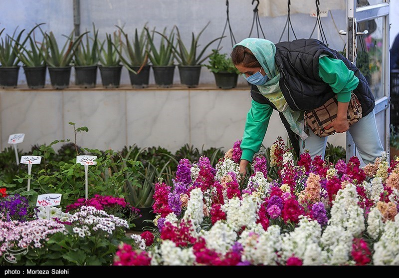 تصاویر: بازار گل و گیاه در آستانه نوروز - اصفهان