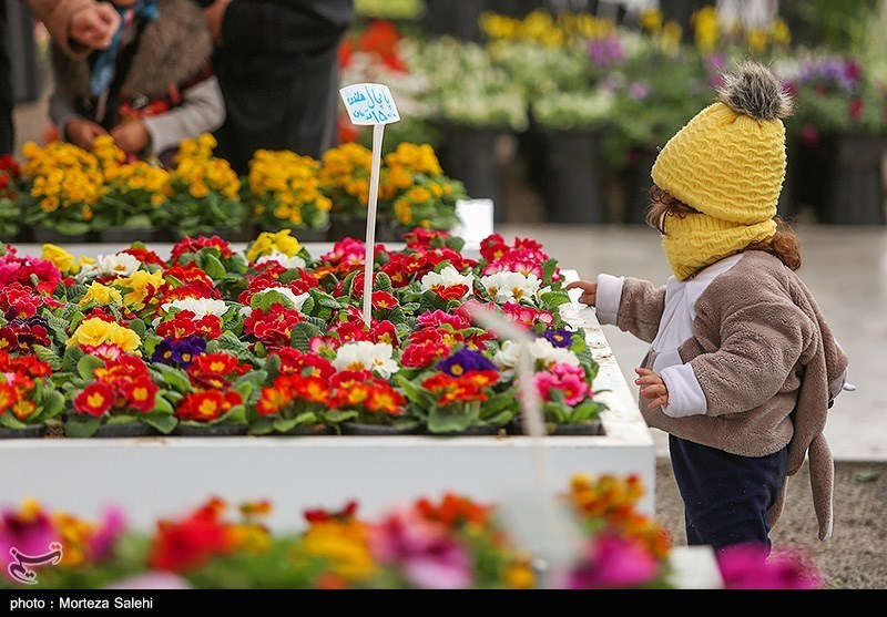 تصاویر: بازار گل و گیاه در آستانه نوروز - اصفهان