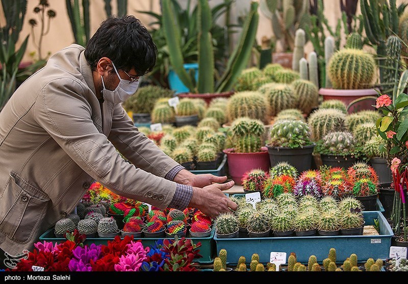 تصاویر: بازار گل و گیاه در آستانه نوروز - اصفهان