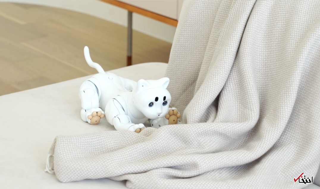 گربه رباتیک مبتنی بر هوش مصنوعی+تصاویر