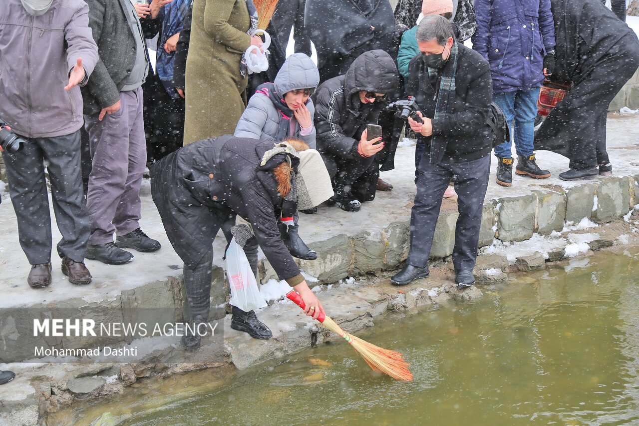 تصایر: مراسم سنتی «نو اوستی» در بالیقلو چای اردبیل