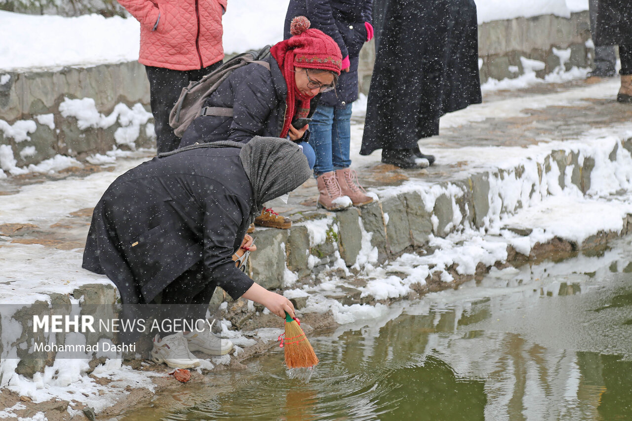 تصایر: مراسم سنتی «نو اوستی» در بالیقلو چای اردبیل