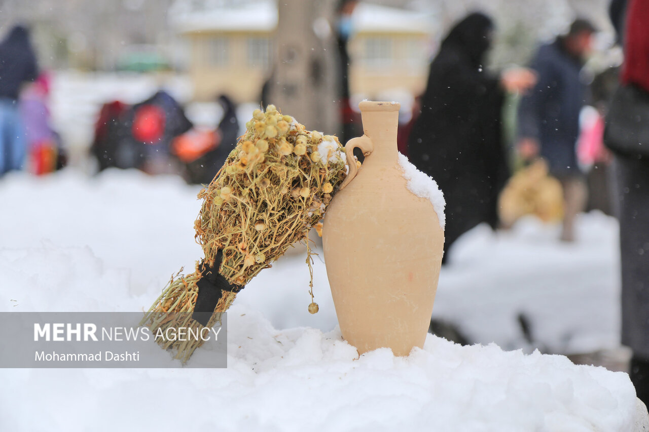 تصایر: مراسم سنتی «نو اوستی» در بالیقلو چای اردبیل