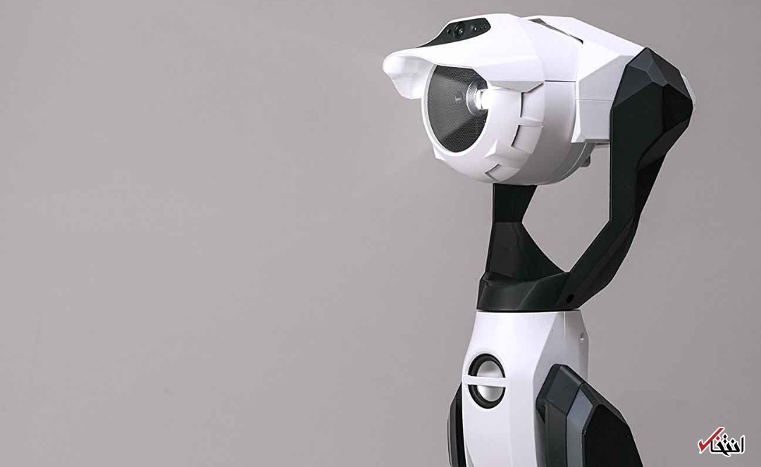 ربات پروژکتوری که راه میرود+تصاویر ربات پروژکتوری که راه میرود+تصاویر